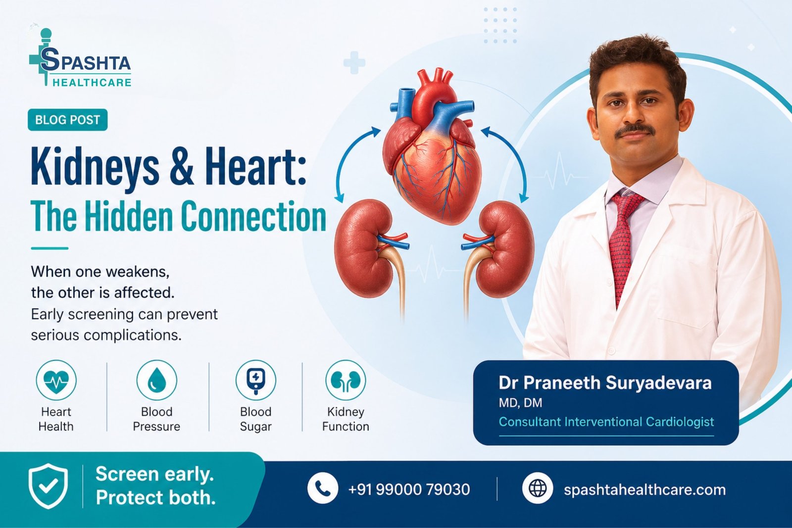 Illustration showing the connection between heart and kidneys highlighting cardiorenal syndrome and preventive healthcare